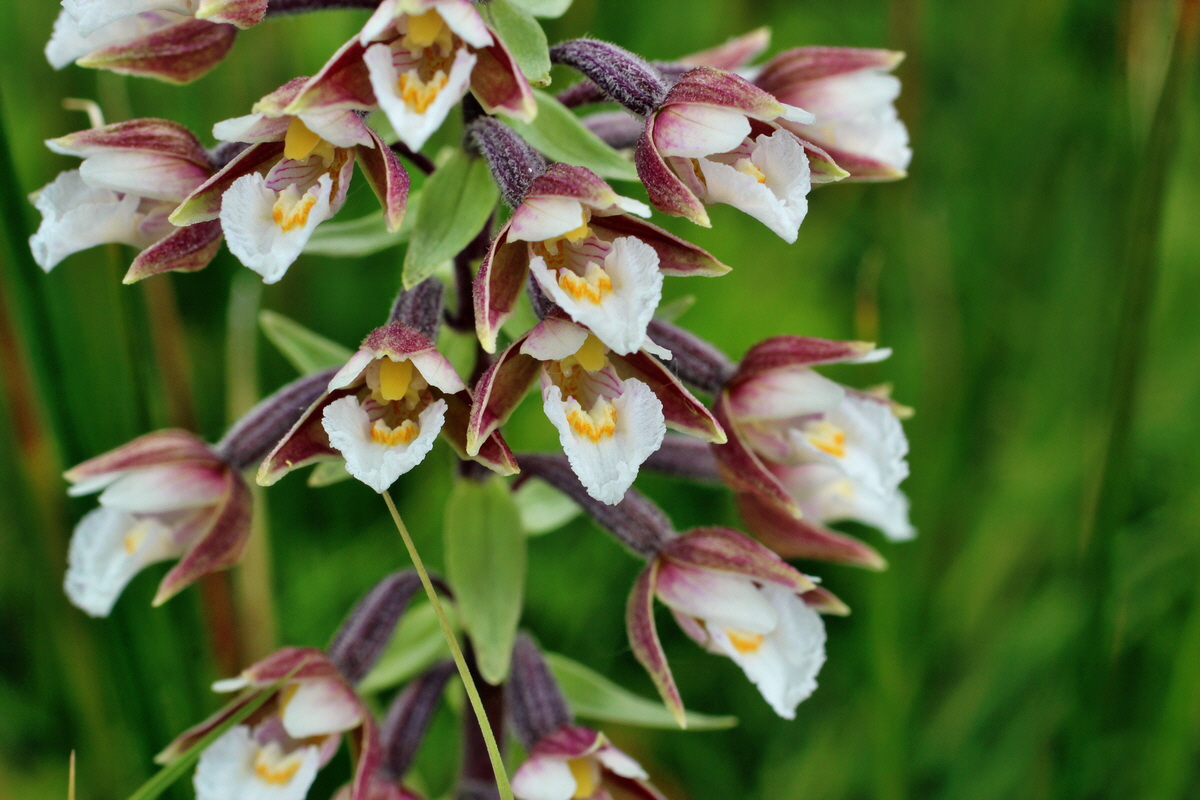 2014_06_23_00047452p_Bildgr��e �ndern