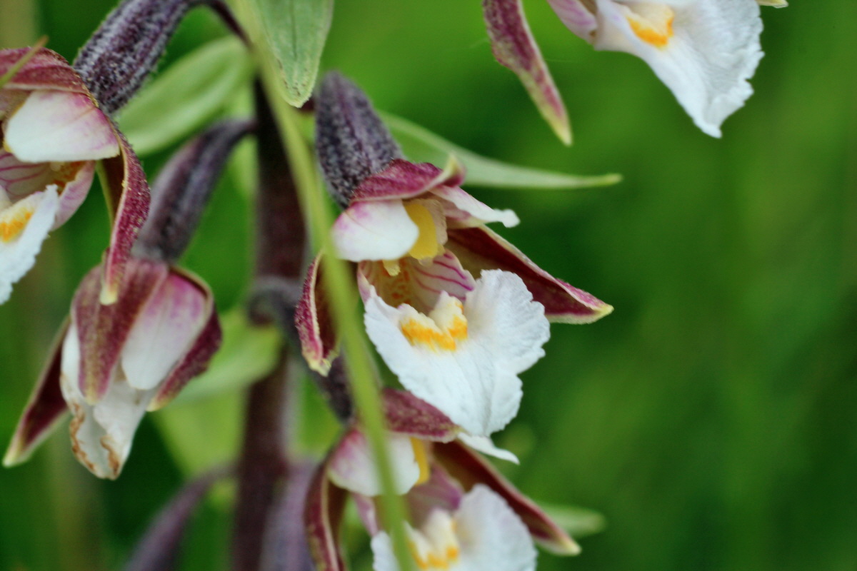 2014_06_23_00047455p_Bildgr��e �ndern