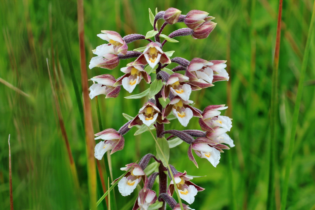 2014_06_23_00047459p_Bildgr��e �ndern