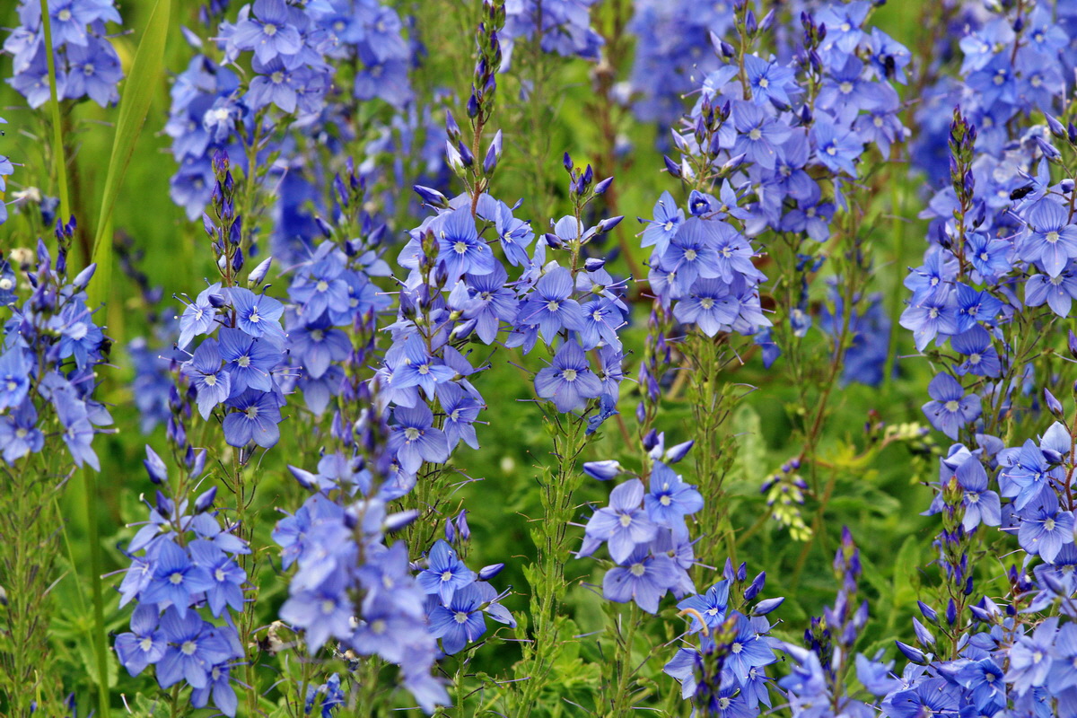 2014_06_23_00047504p_Bildgr��e �ndern