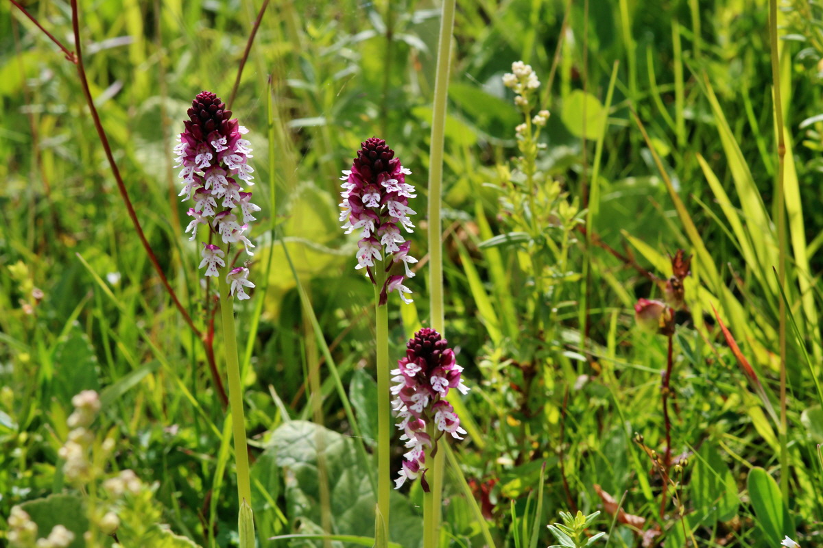 2014_06_23_00047520p_Bildgr��e �ndern