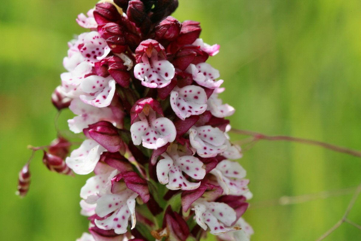 2014_06_23_00047523p_Bildgr��e �ndern