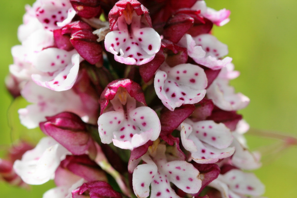 2014_06_23_00047532p_Bildgr��e �ndern