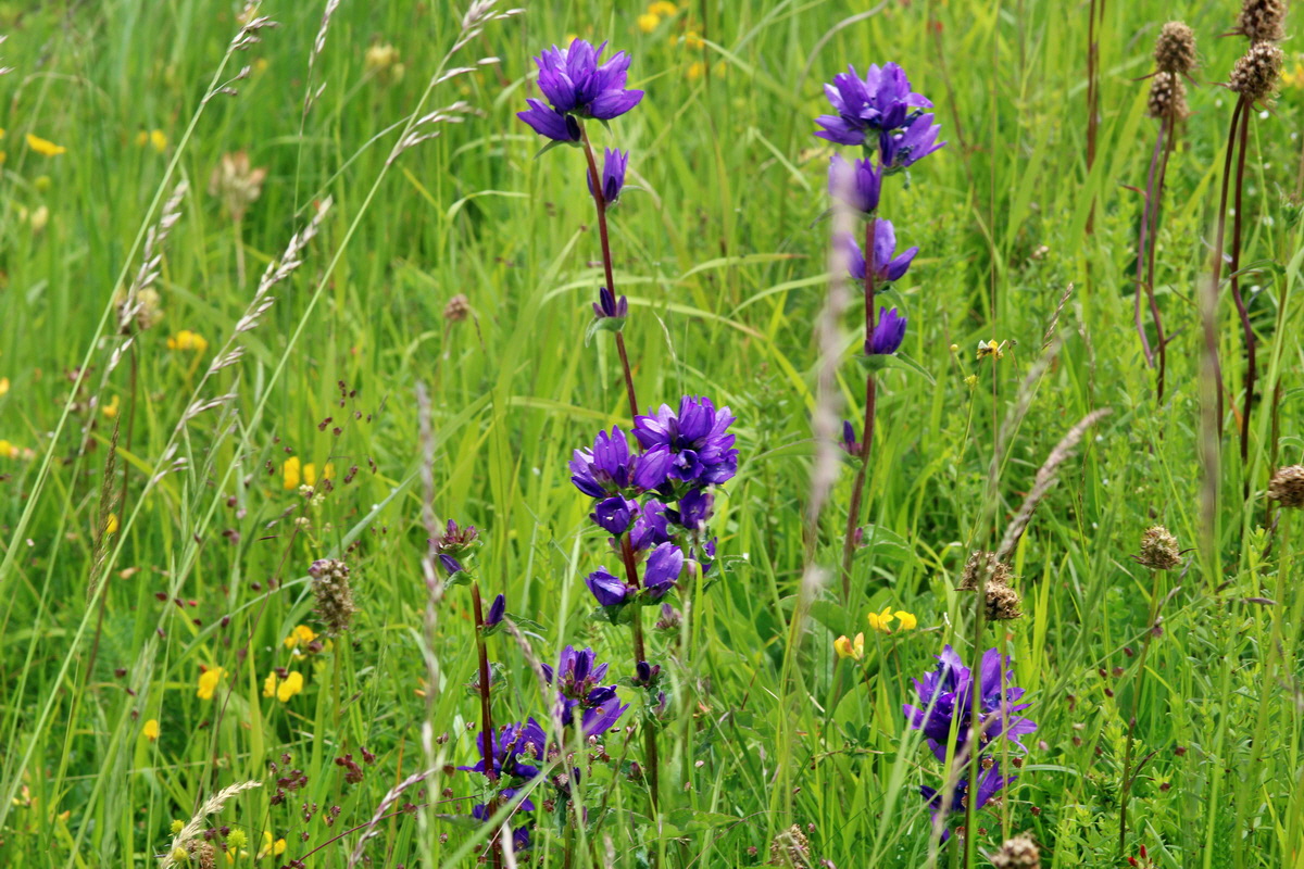 2014_06_23_00047539p_Bildgr��e �ndern