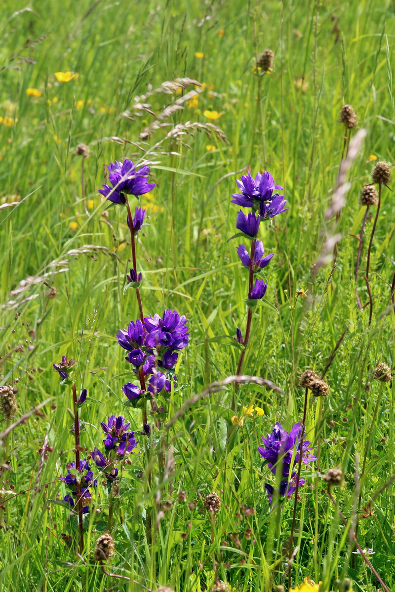 2014_06_23_00047541p_Bildgr��e �ndern