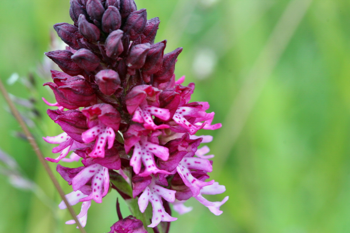 2014_06_23_00047548p_Bildgr��e �ndern