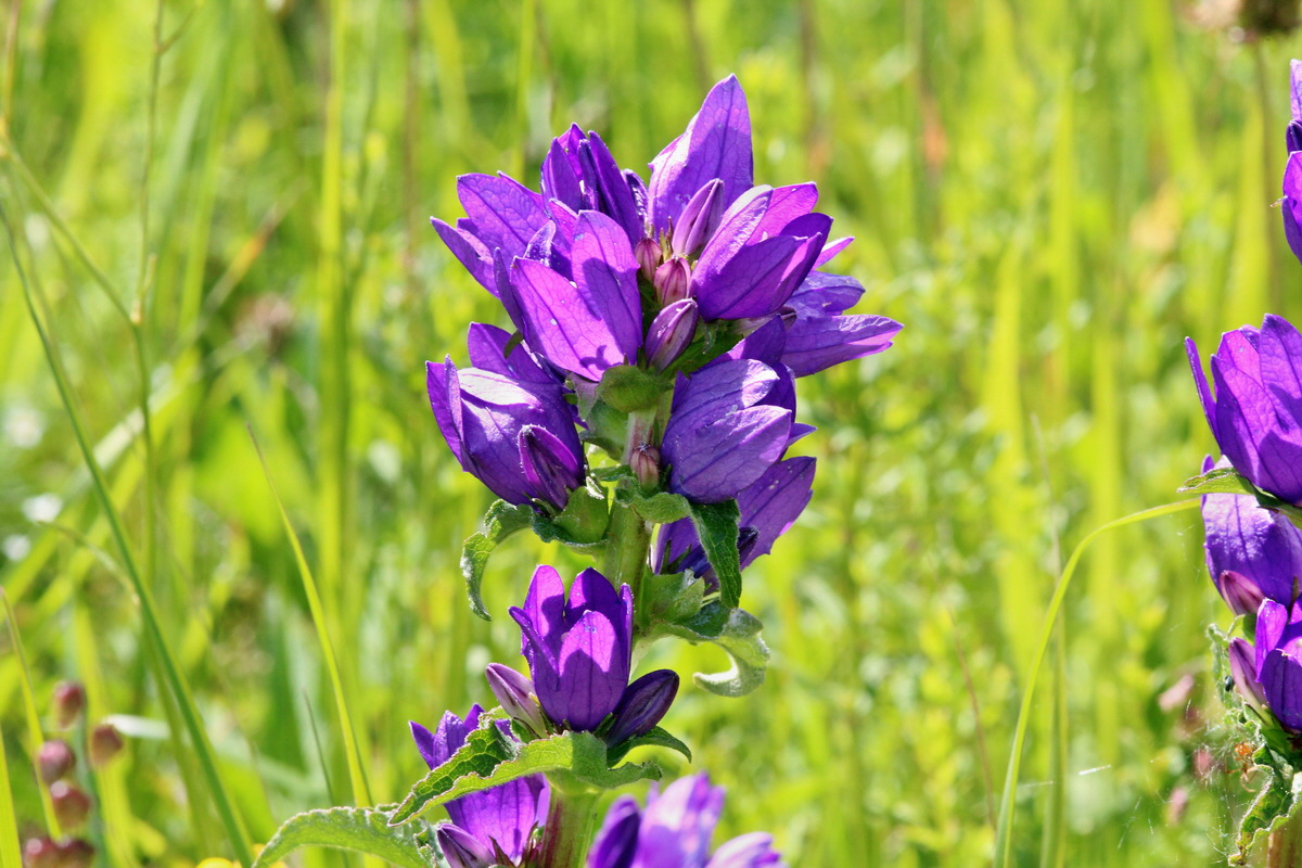 2014_06_23_00047554p_Bildgr��e �ndern