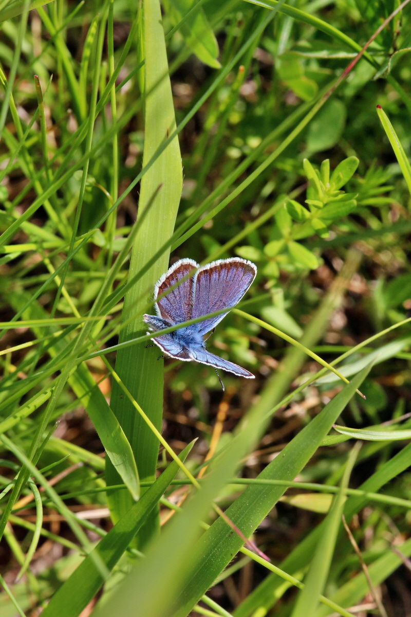 2014_06_23_00047560p_Bildgr��e �ndern