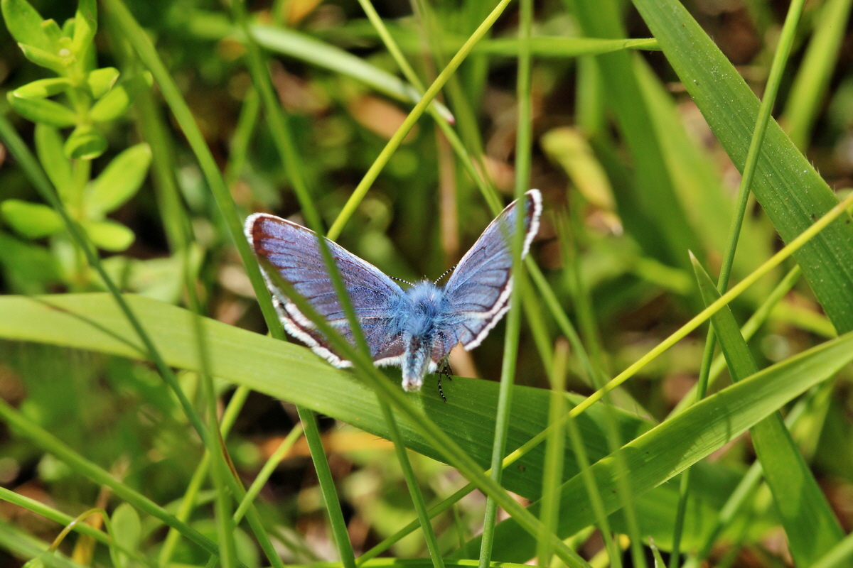 2014_06_23_00047564p_Bildgr��e �ndern