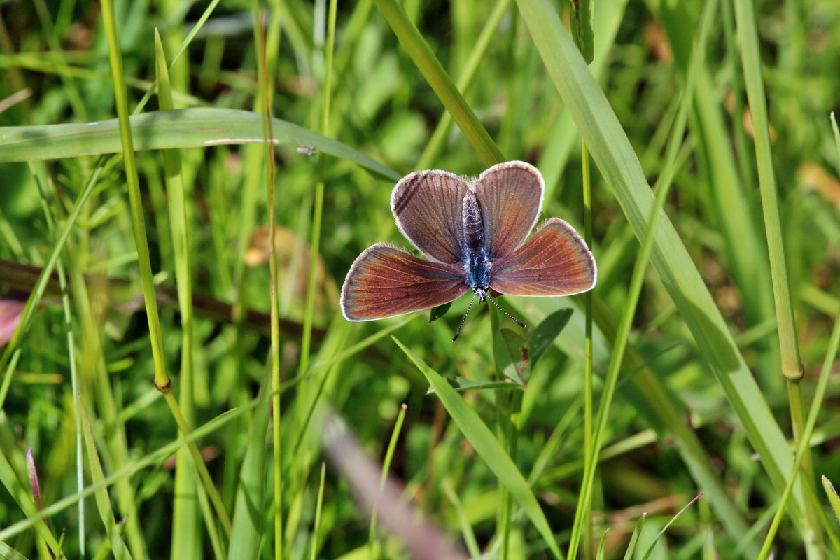 2014_06_23_00047567p_Bildgr��e �ndern