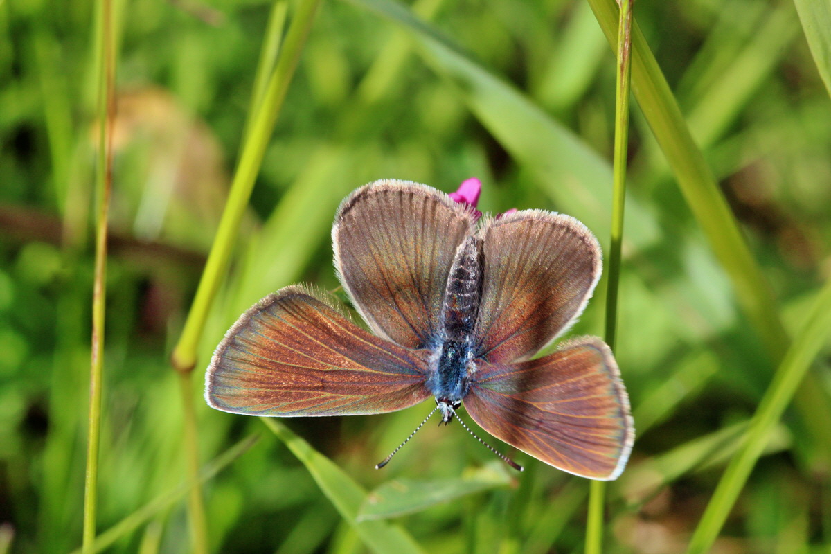 2014_06_23_00047569p_Bildgr��e �ndern