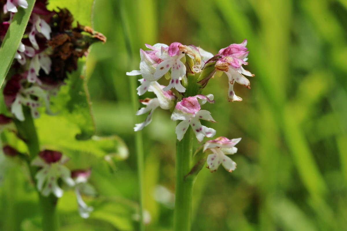 2014_06_23_00047585p_Bildgr��e �ndern