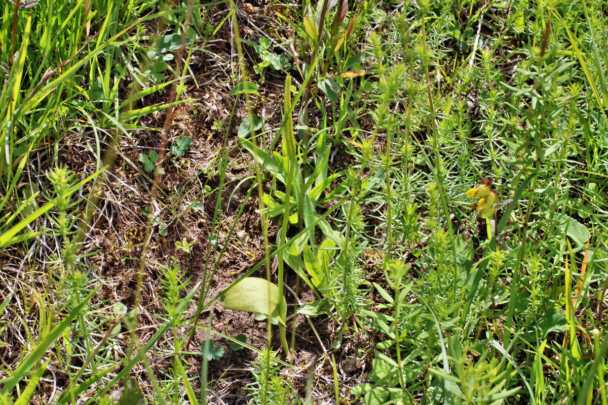 2014_06_23_00047600p_Bildgr��e �ndern