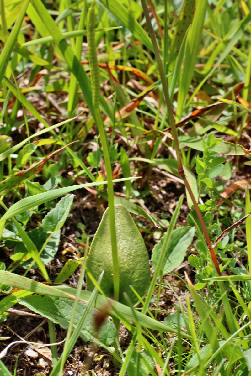 2014_06_23_00047607p_Bildgr��e �ndern