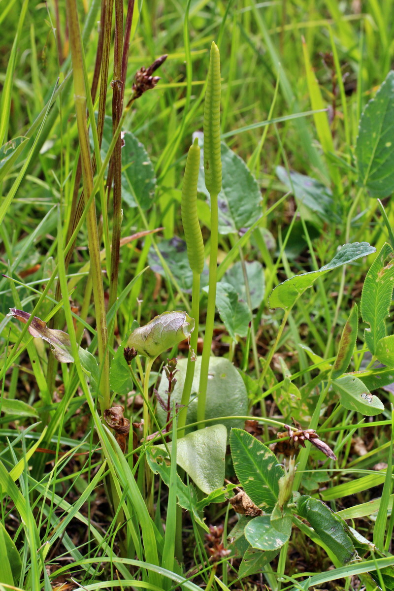 2014_06_23_00047611p_Bildgr��e �ndern