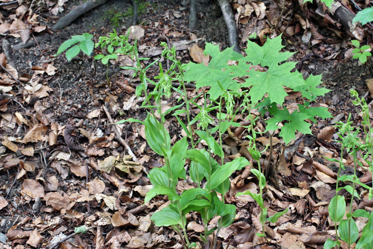 2014_06_23_00047618p_Bildgr��e �ndern