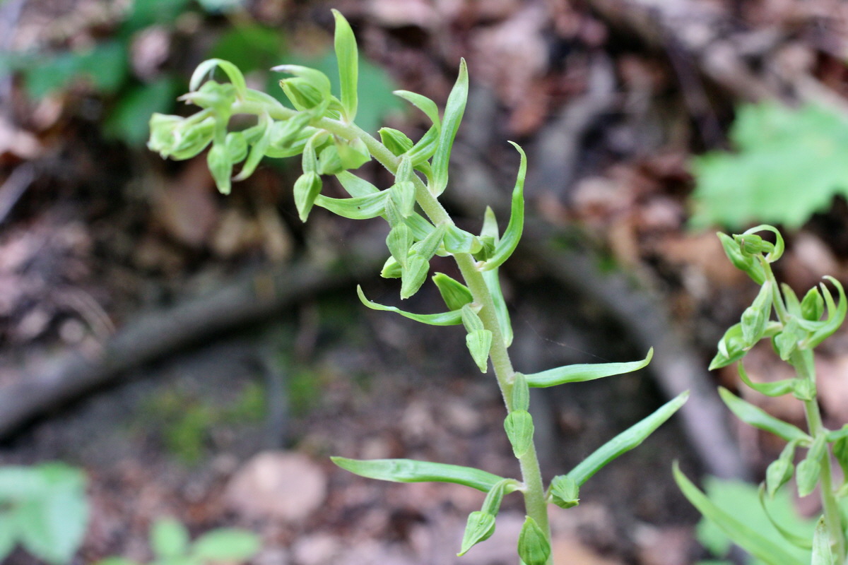 2014_06_23_00047624p_Bildgr��e �ndern