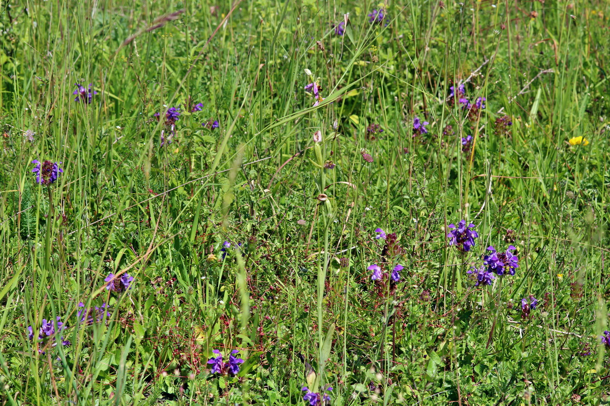 2014_06_27_00047629p_Bildgr��e �ndern