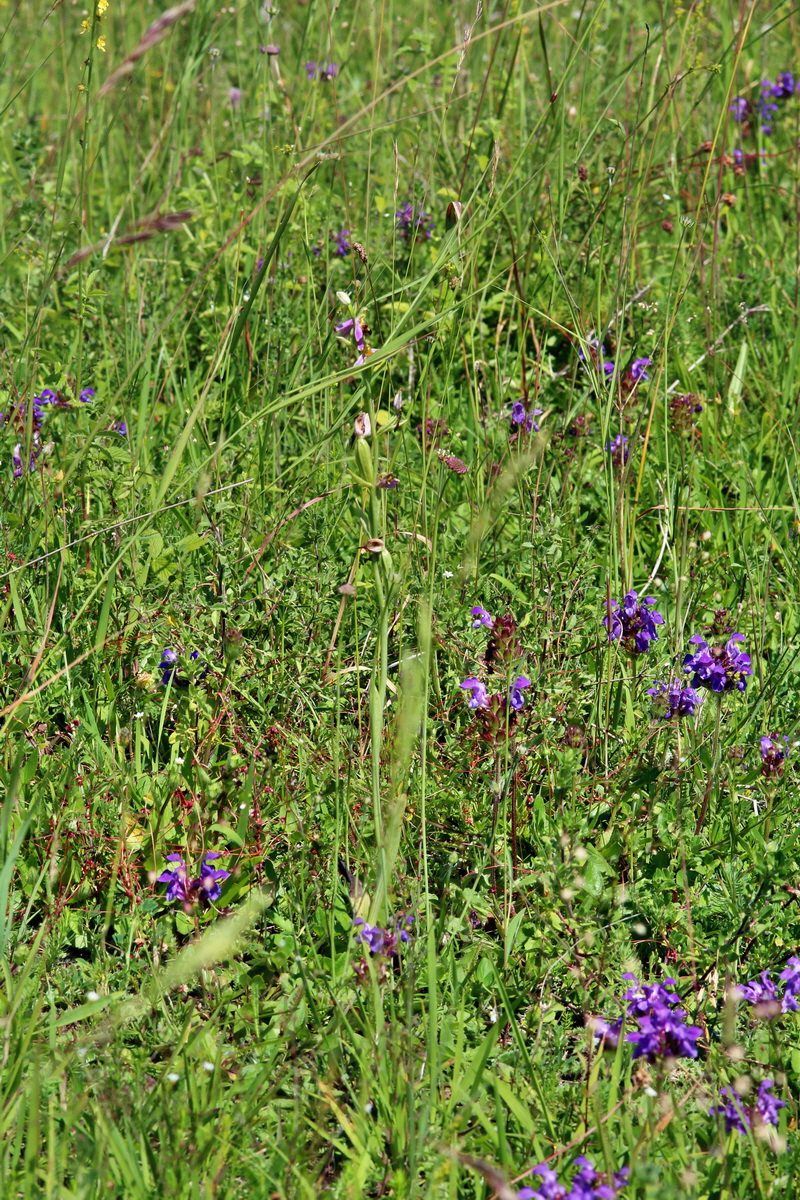 2014_06_27_00047633p_Bildgr��e �ndern