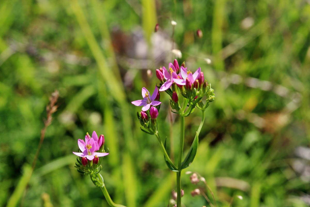 2014_06_27_00047635p_Bildgr��e �ndern