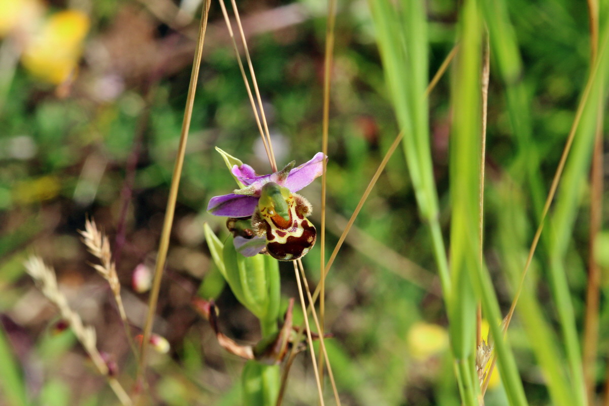 2014_06_27_00047639p_Bildgr��e �ndern