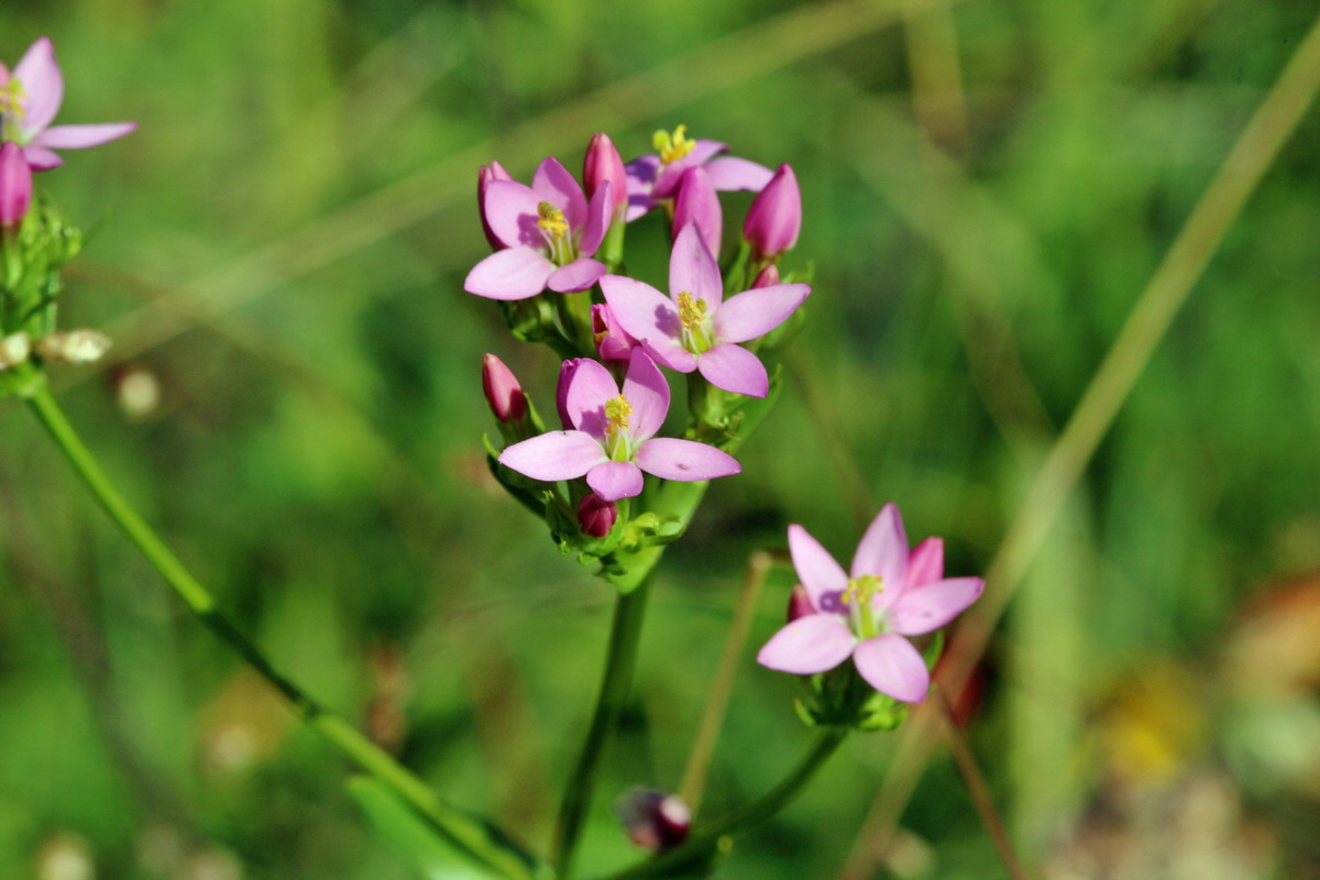 2014_06_27_00047652p_Bildgr��e �ndern