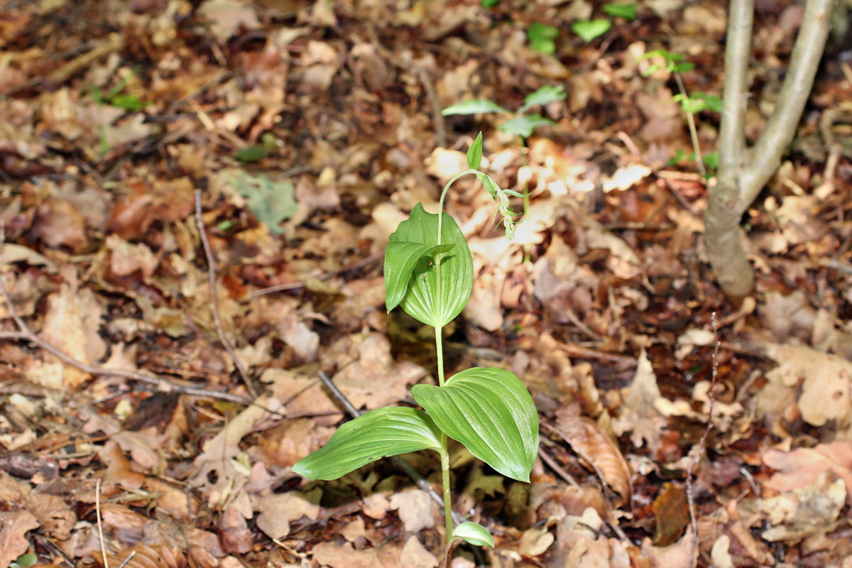 2014_06_27_00047672p_Bildgr��e �ndern