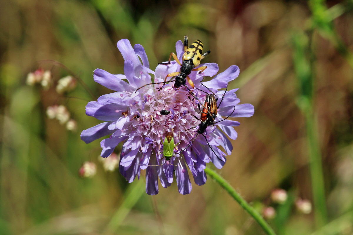 2014_06_27_00047689p_Bildgr��e �ndern