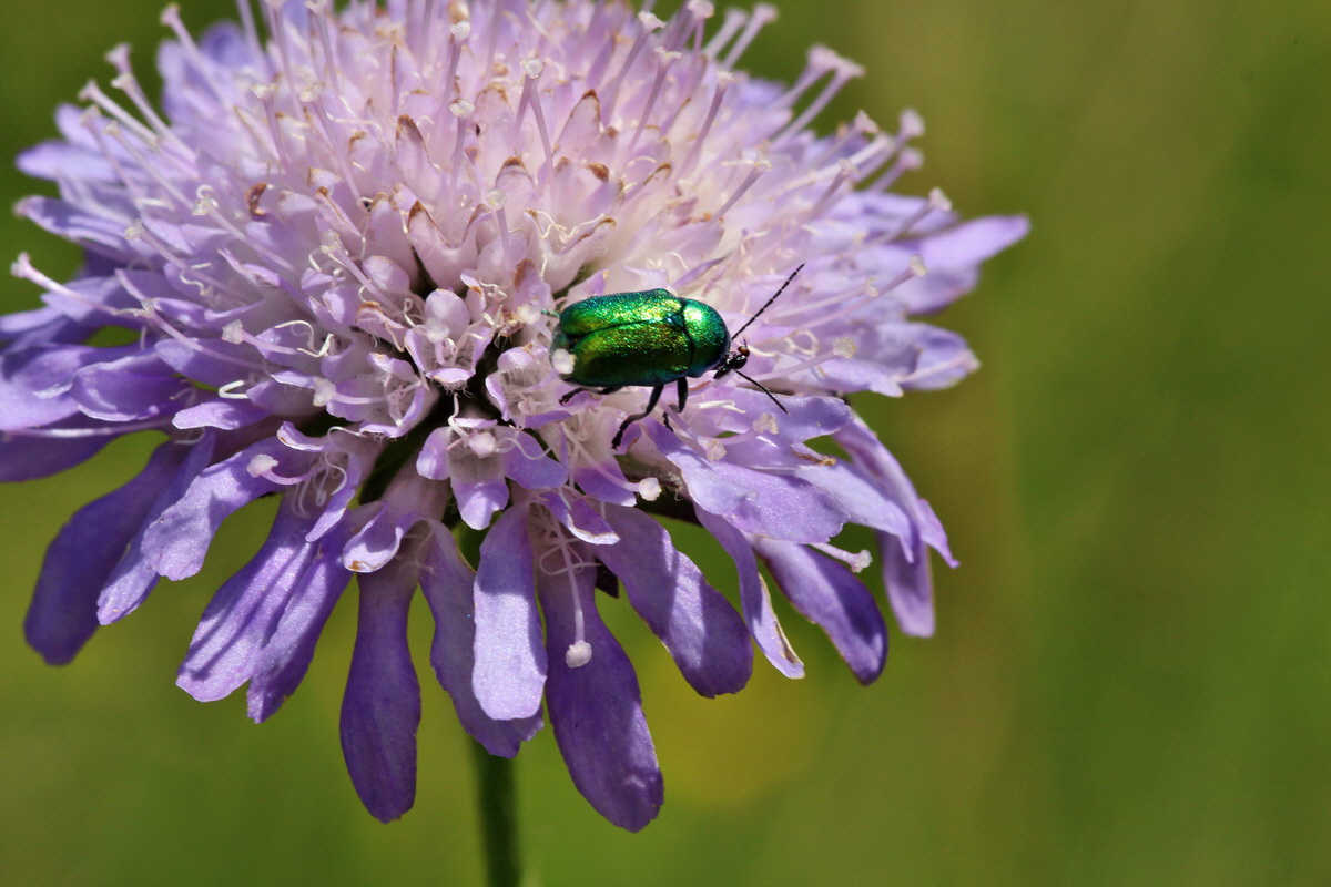 2014_06_27_00047697p_Bildgr��e �ndern