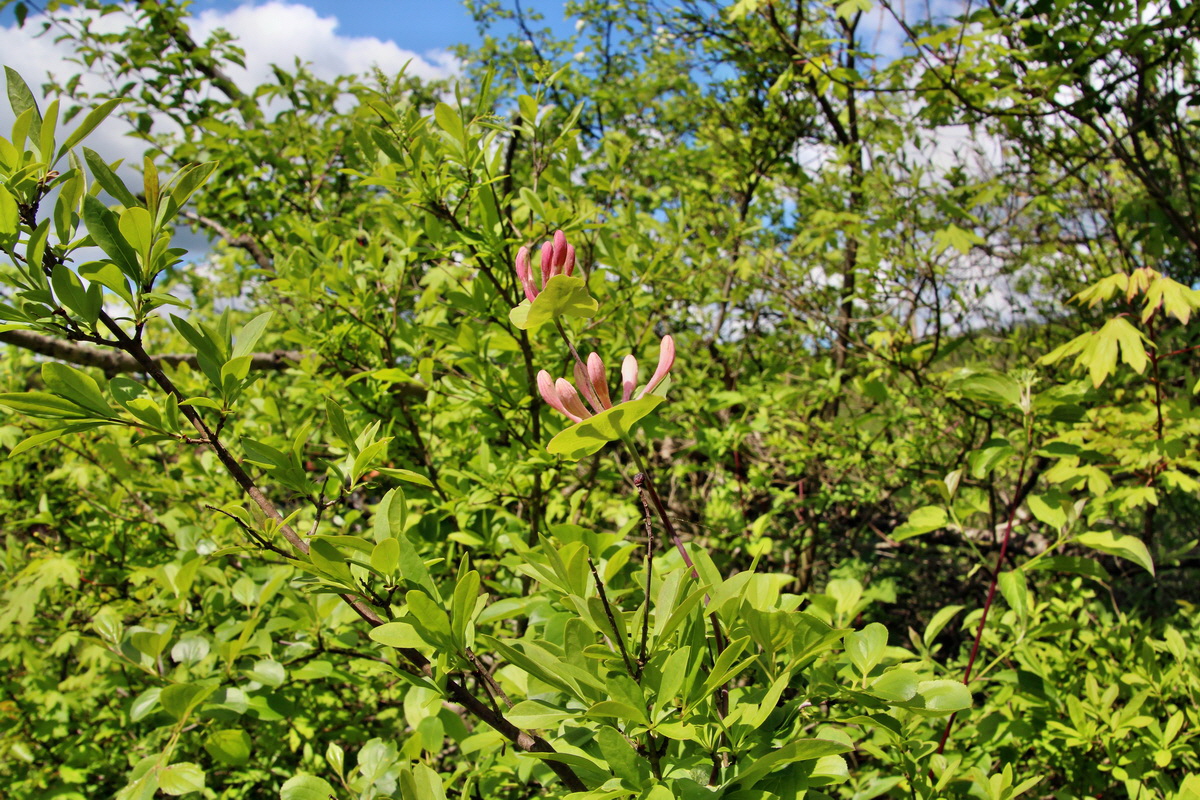 2014_05_03_00041707p_Bildgr��e �ndern