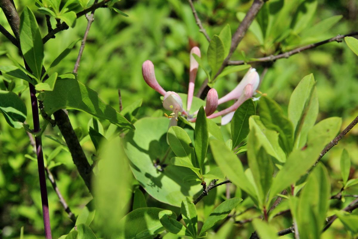 2014_05_03_00041711p_Bildgr��e �ndern