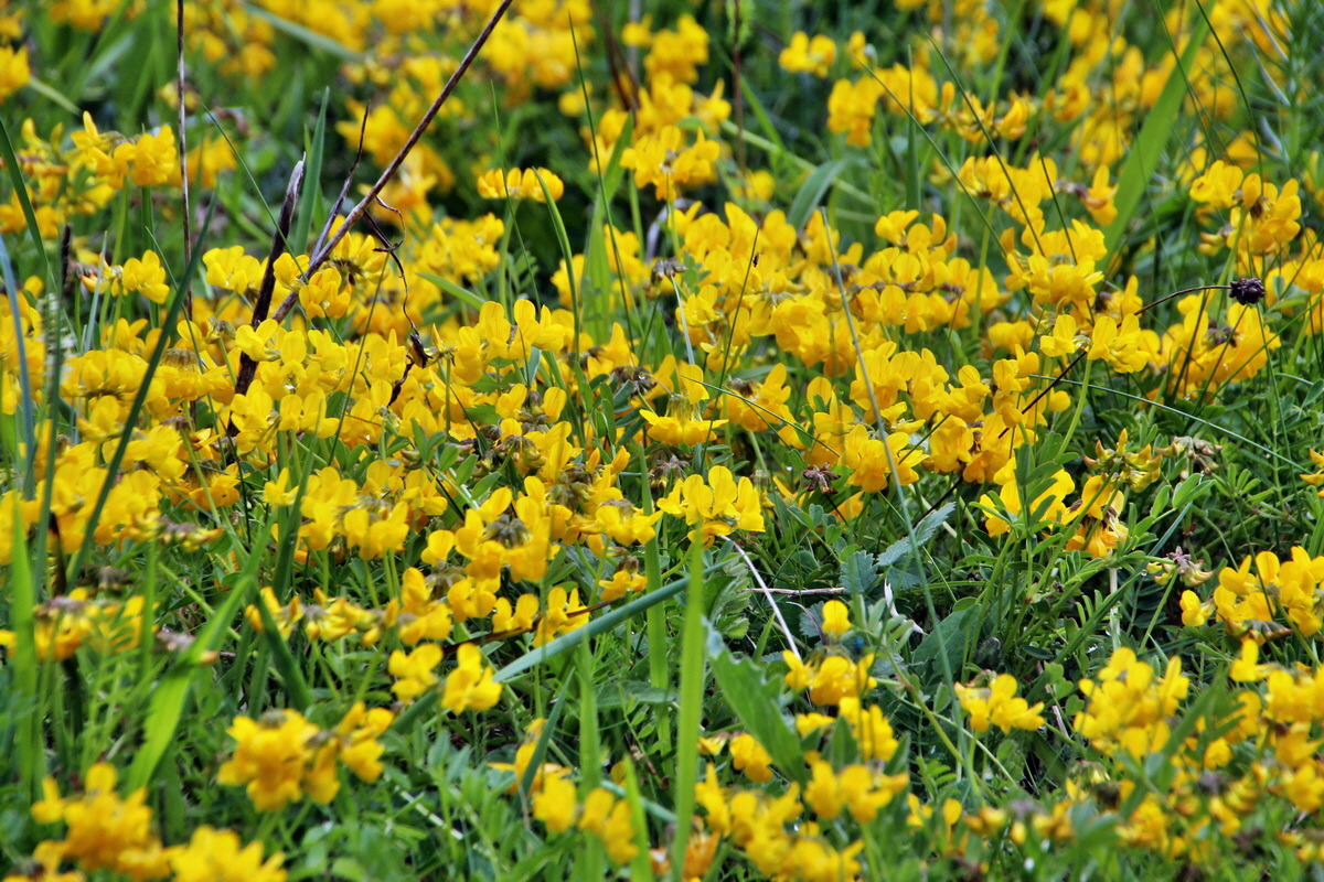 2014_05_03_00041724p_Bildgr��e �ndern