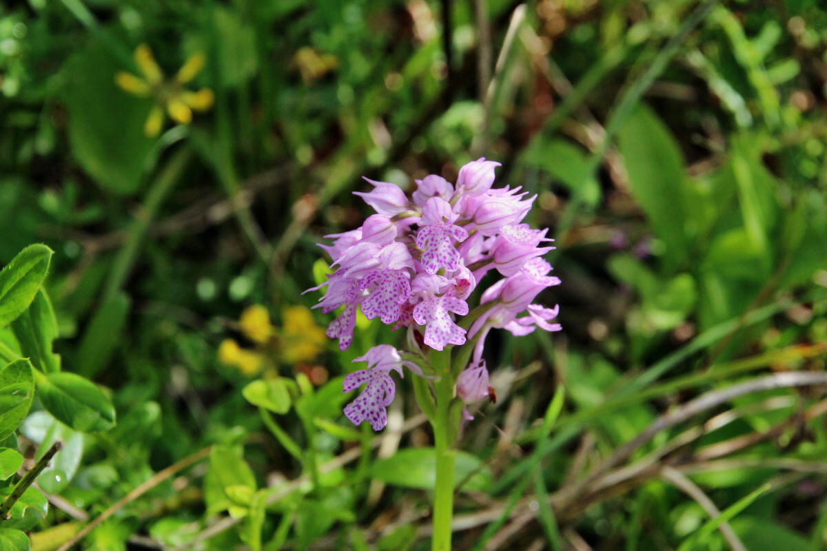 2014_05_03_00041726p_Bildgr��e �ndern