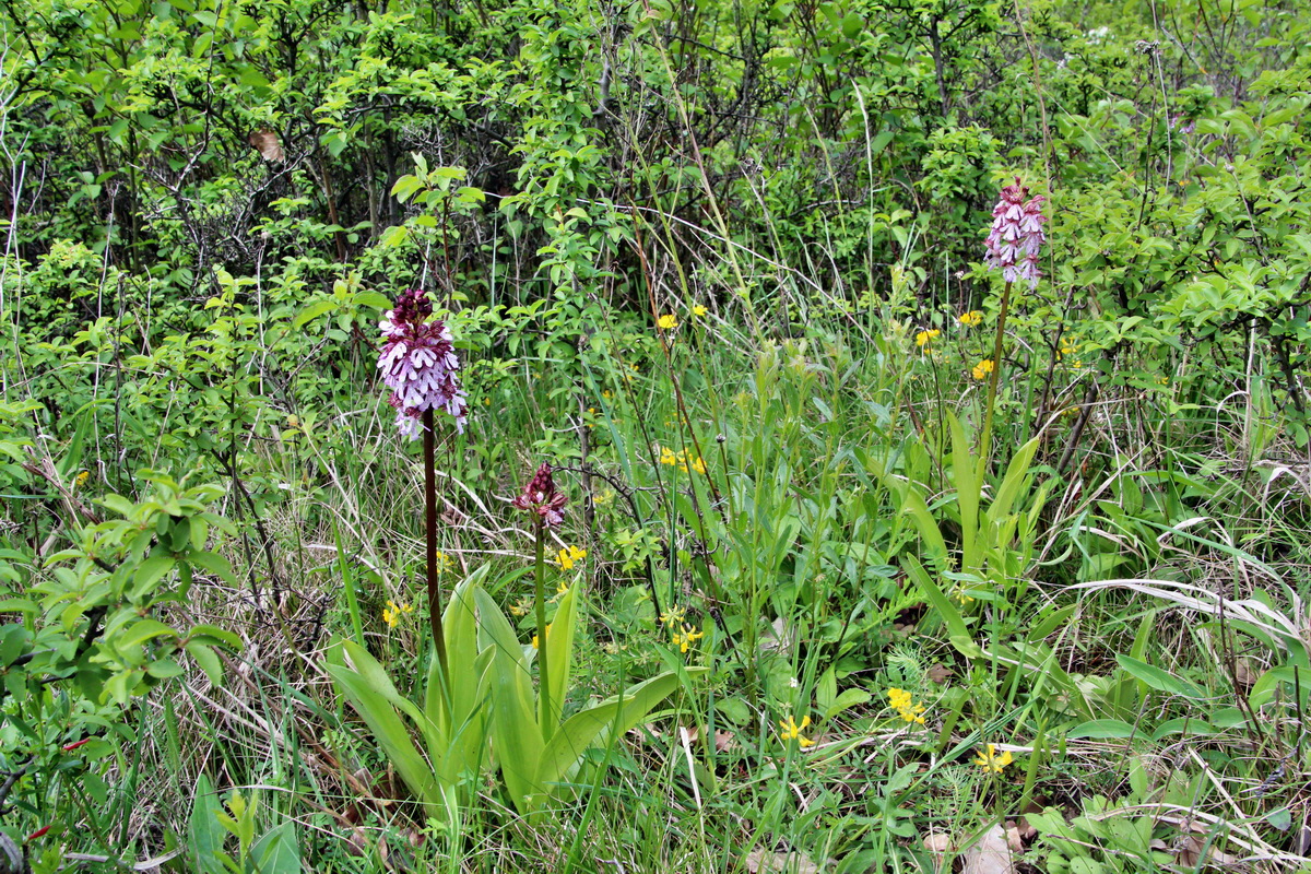 2014_05_03_00041738p_Bildgr��e �ndern