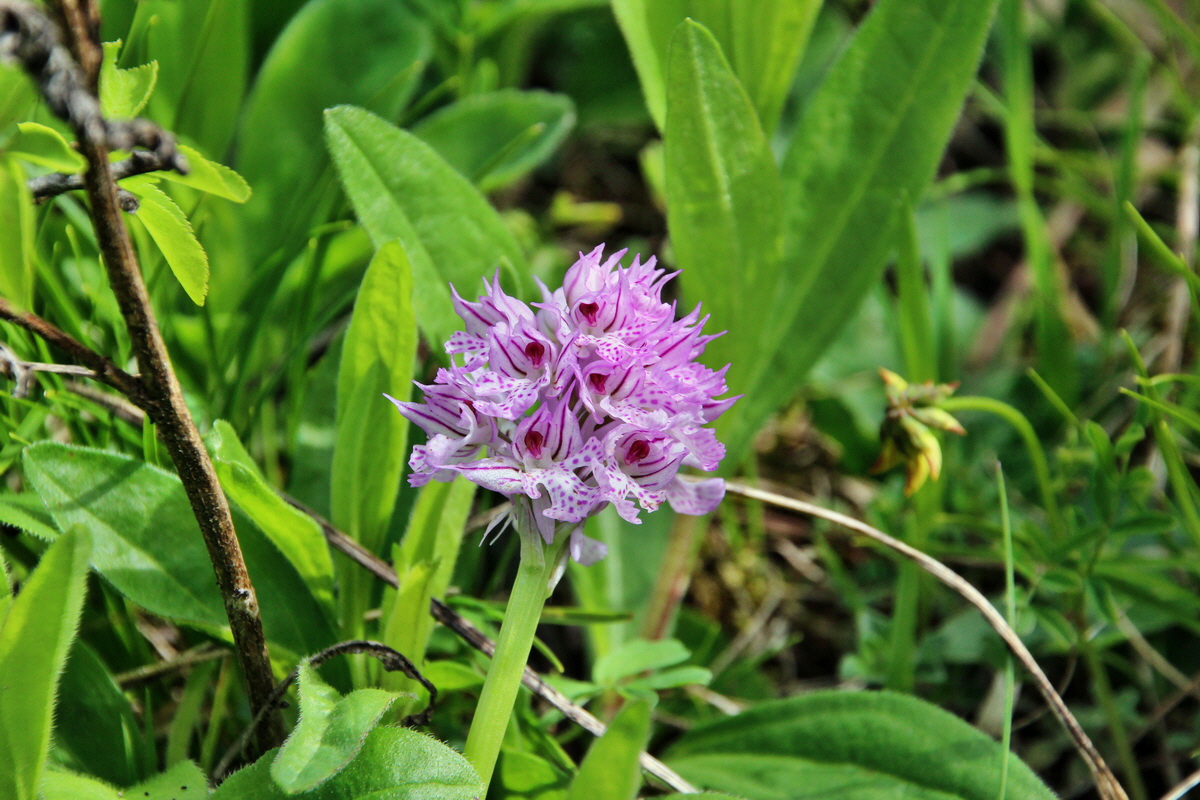 2014_05_03_00041741p_Bildgr��e �ndern