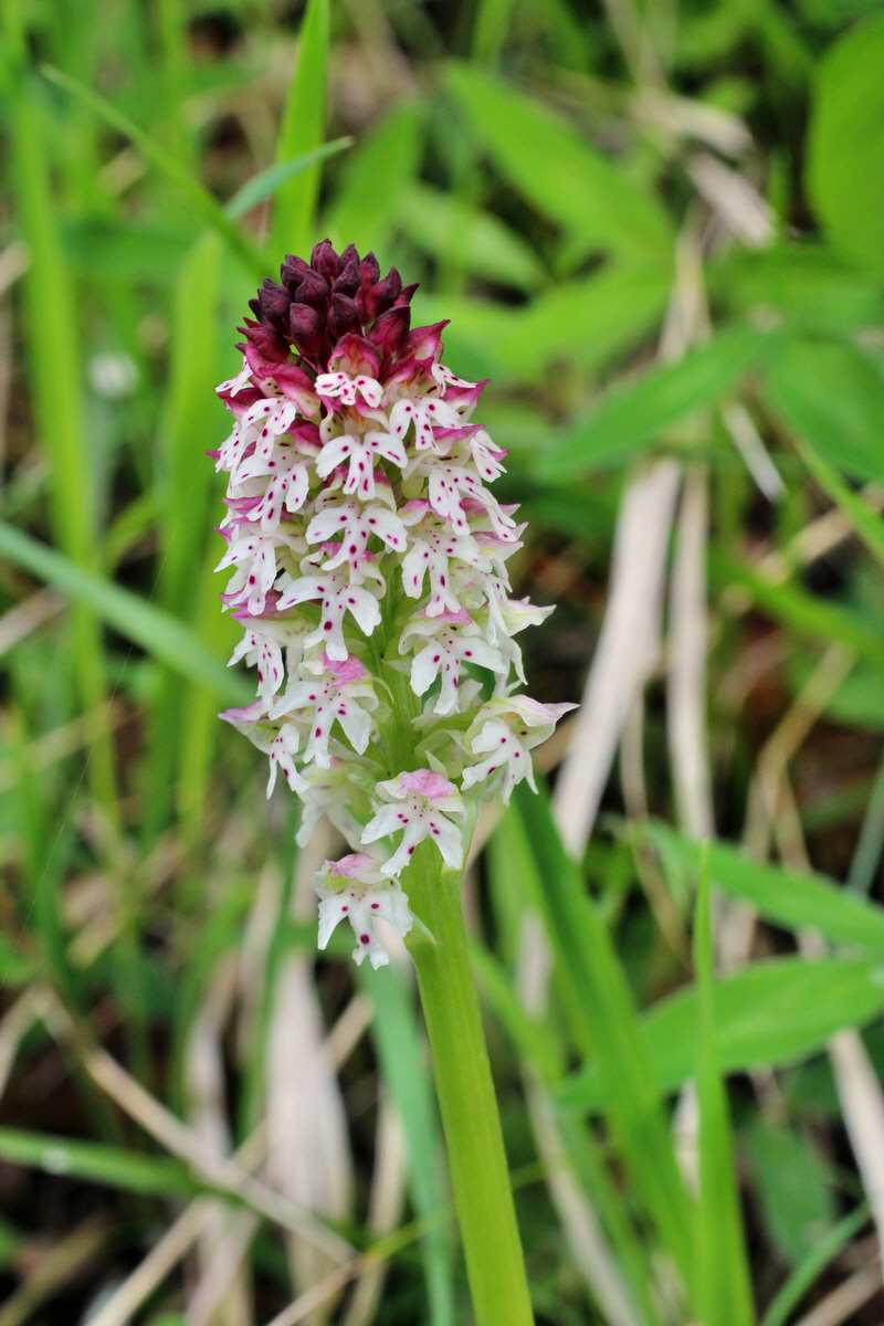 2014_05_03_00041747p_Bildgr��e �ndern