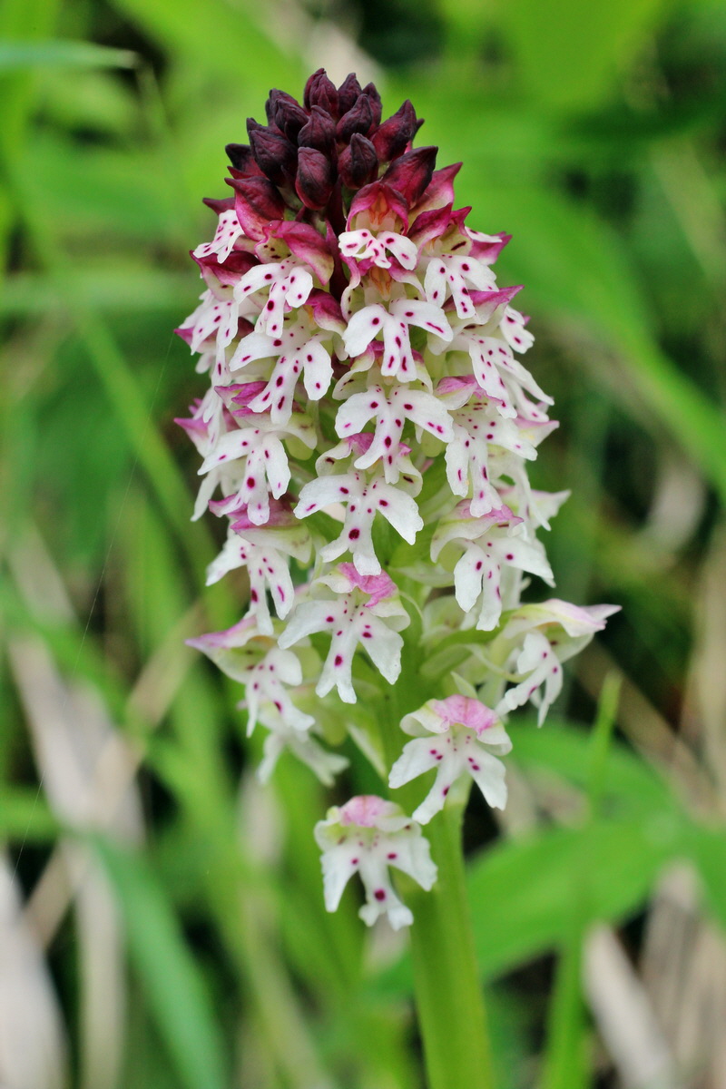 2014_05_03_00041751p_Bildgr��e �ndern