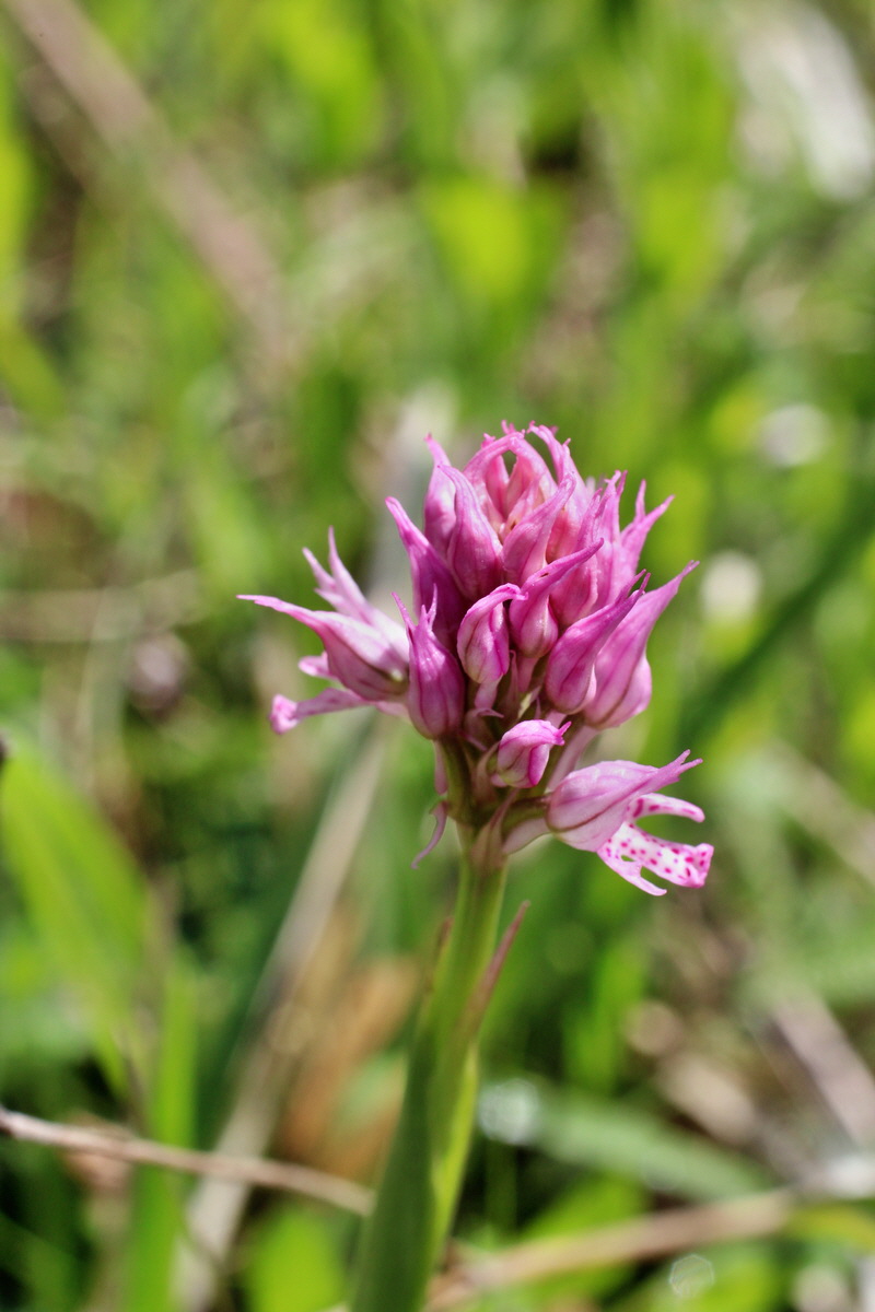 2014_05_03_00041753p_Bildgr��e �ndern