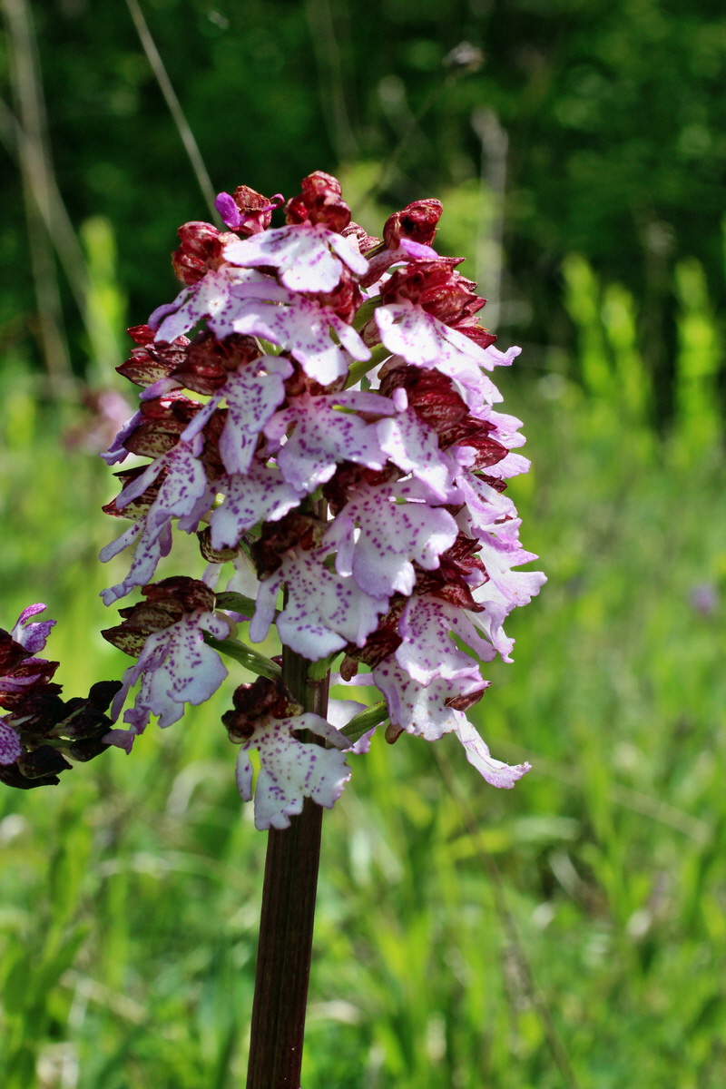 2014_05_03_00041757p_Bildgr��e �ndern