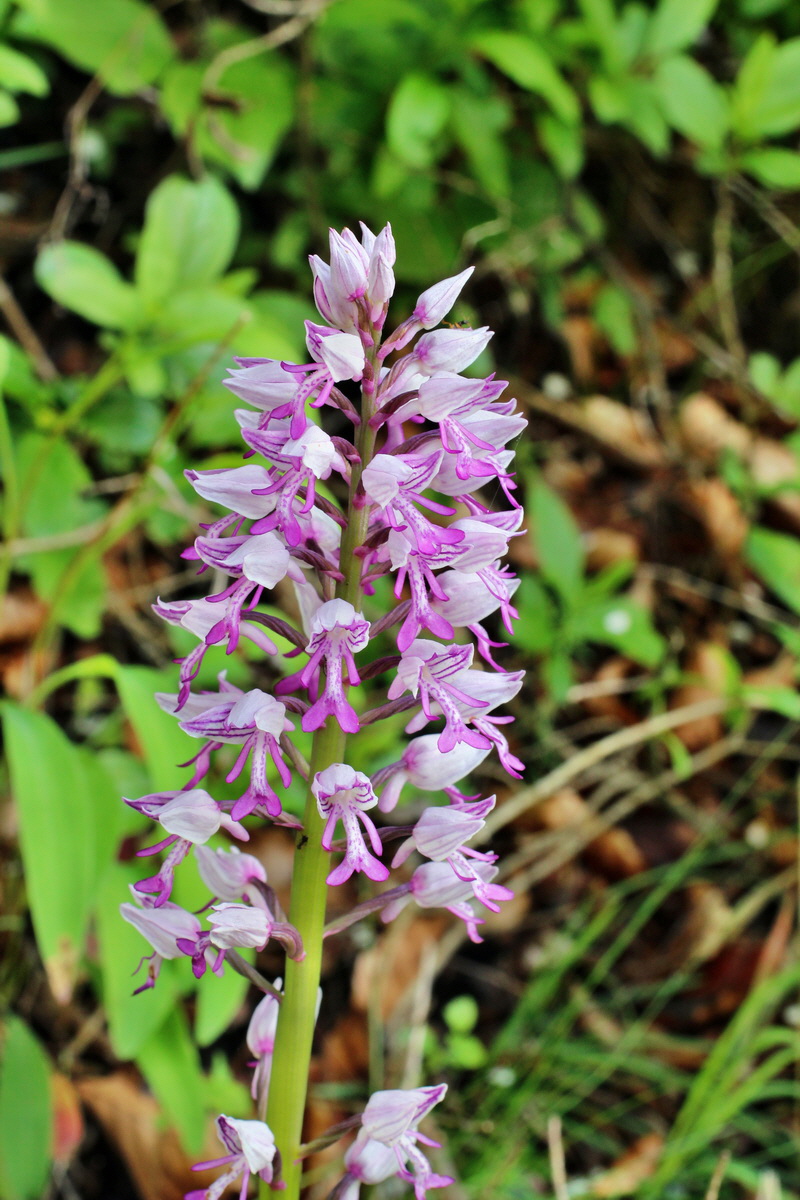 2014_05_03_00041762p_Bildgr��e �ndern