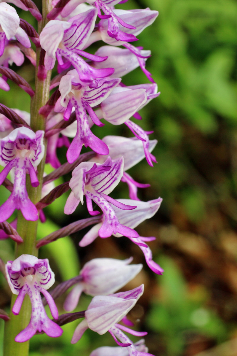 2014_05_03_00041766p_Bildgr��e �ndern