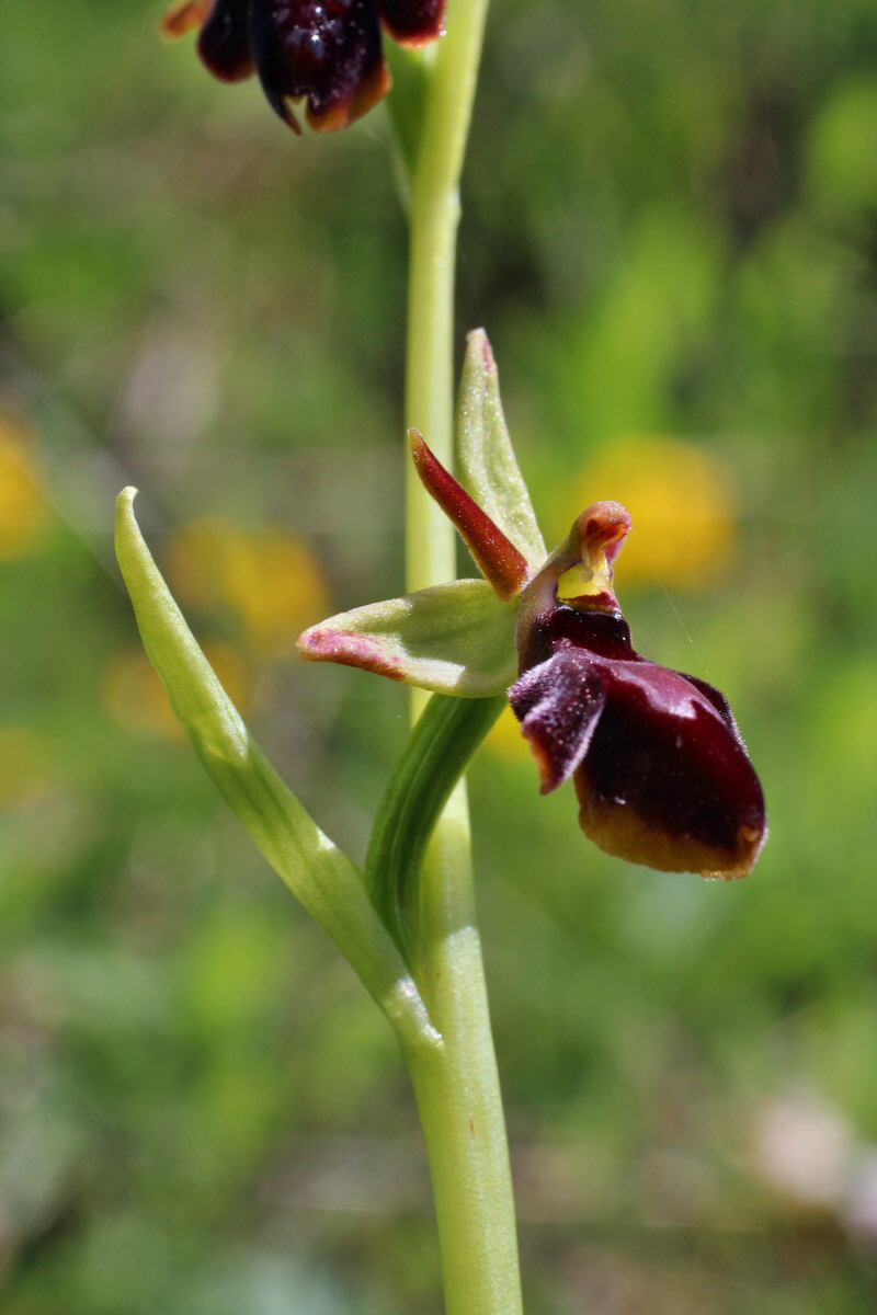 2014_05_03_00041769p_Bildgr��e �ndern