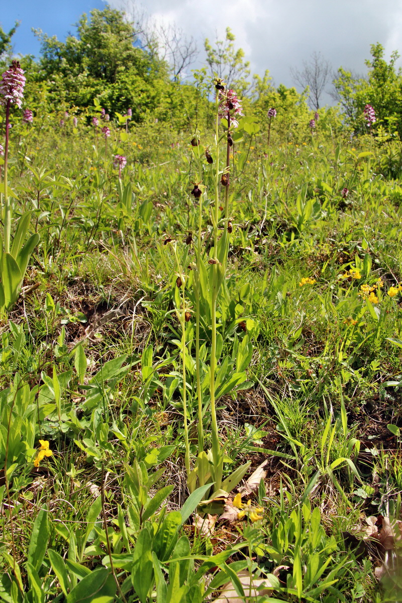 2014_05_03_00041778p_Bildgr��e �ndern