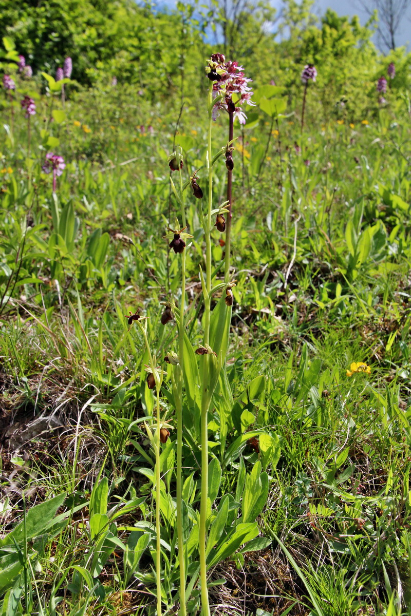 2014_05_03_00041781p_Bildgr��e �ndern