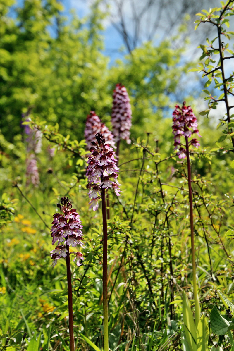 2014_05_03_00041782p_Bildgr��e �ndern