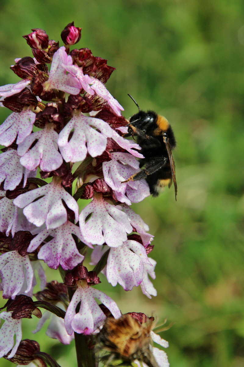 2014_05_03_00041787p_Bildgr��e �ndern