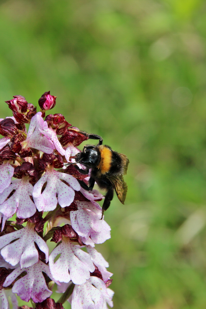 2014_05_03_00041800p_Bildgr��e �ndern