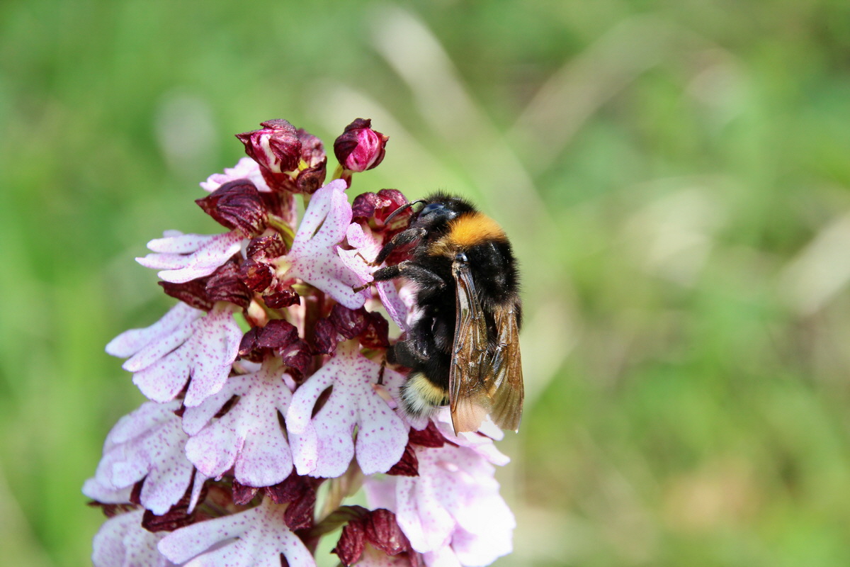 2014_05_03_00041818p_Bildgr��e �ndern