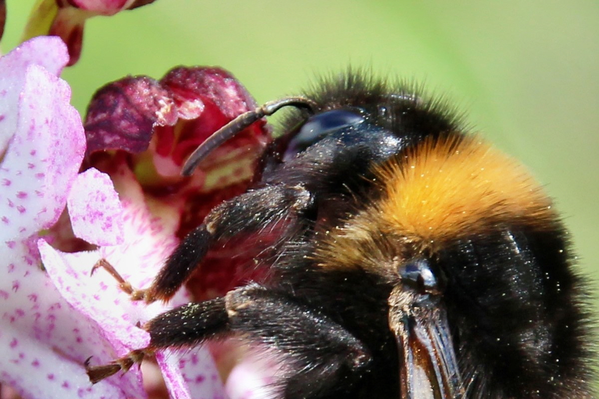 2014_05_03_00041818pa