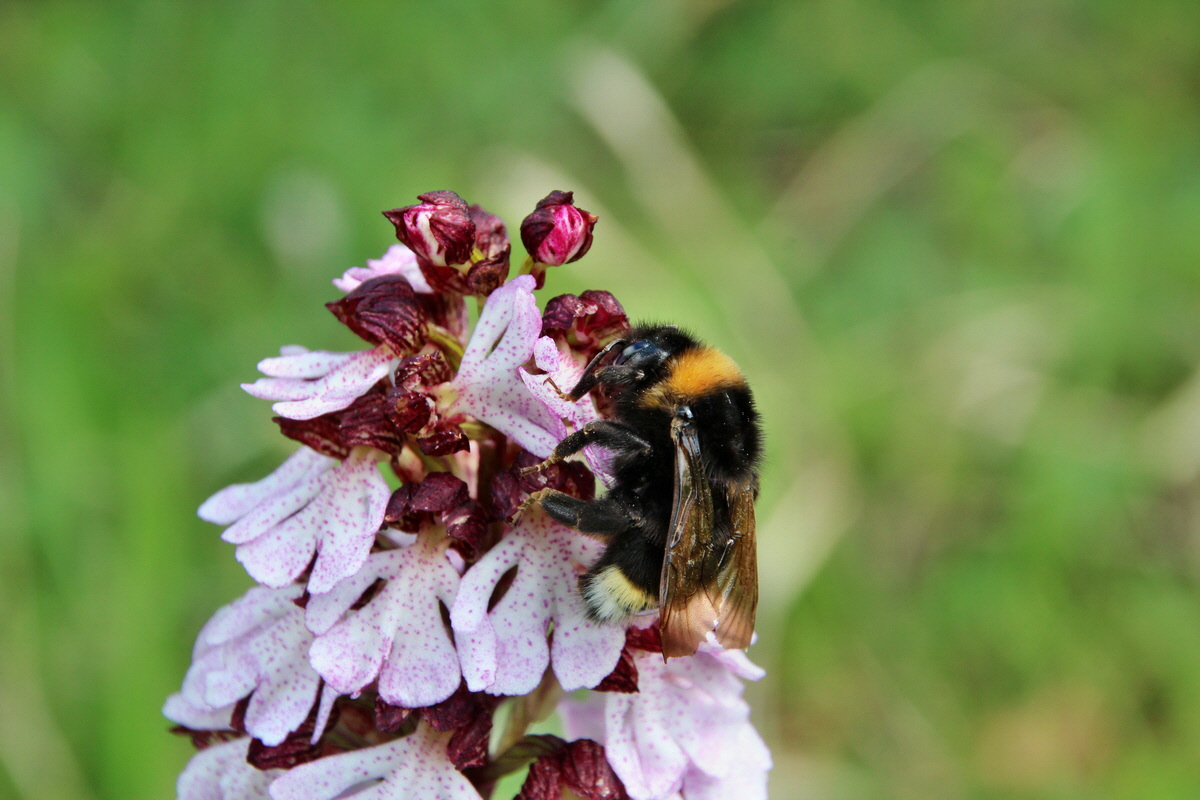 2014_05_03_00041835p_Bildgr��e �ndern